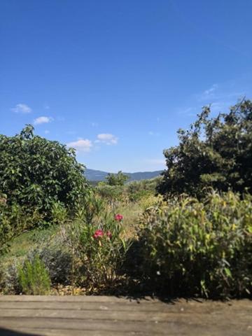 Villa Spacieuse Avec Terrasse Et Vue Mont Ventoux Entrechaux Luaran gambar