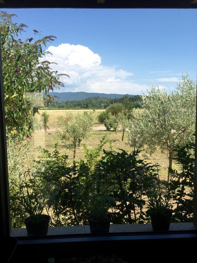 Villa Spacieuse Avec Terrasse Et Vue Mont Ventoux Entrechaux Luaran gambar